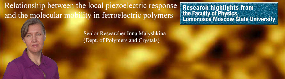 2015-ferroelectric-polymers-EN.jpg